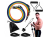 obraz_2023-06-02_150309154.png