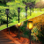 obraz_2025-06-03_174151788.png