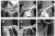 obraz_2025-07-03_200040942.png
